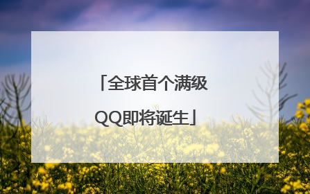 全球首个满级QQ即将诞生