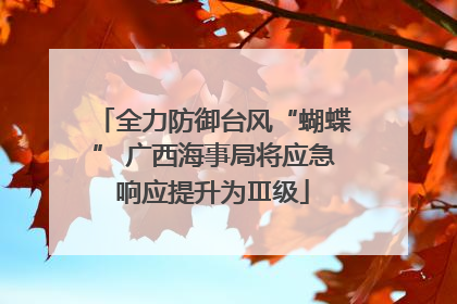 全力防御台风“蝴蝶” 广西海事局将应急响应提升为Ⅲ级
