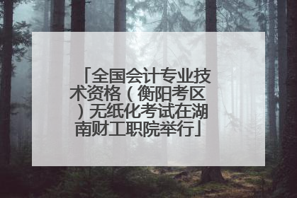 全国会计专业技术资格（衡阳考区）无纸化考试在湖南财工职院举行