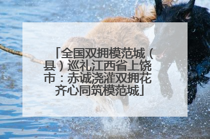 全国双拥模范城（县）巡礼江西省上饶市：赤诚浇灌双拥花 齐心同筑模范城