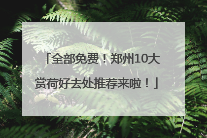 全部免费！郑州10大赏荷好去处推荐来啦！