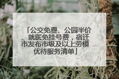 公交免费、公园半价、就医免挂号费，宿迁市发布市级及以上劳模优待服务清单