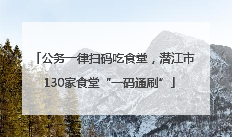 公务一律扫码吃食堂，潜江市130家食堂“一码通刷”