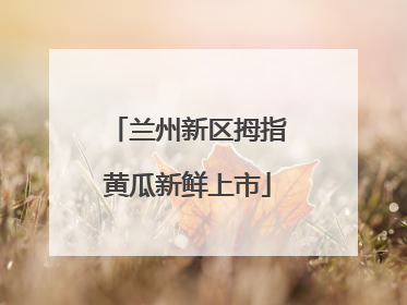 兰州新区拇指黄瓜新鲜上市