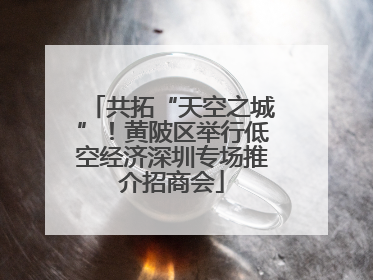 共拓“天空之城”！黄陂区举行低空经济深圳专场推介招商会