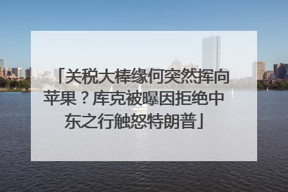 关税大棒缘何突然挥向苹果？库克被曝因拒绝中东之行触怒特朗普