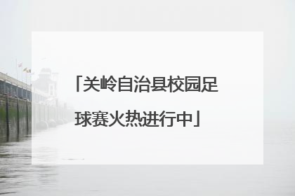 关岭自治县校园足球赛火热进行中