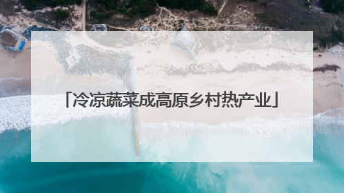冷凉蔬菜成高原乡村热产业