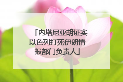 内塔尼亚胡证实以色列打死伊朗情报部门负责人