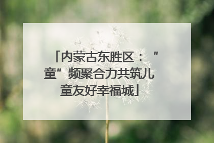 内蒙古东胜区：“童”频聚合力共筑儿童友好幸福城
