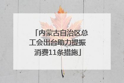 内蒙古自治区总工会出台助力提振消费11条措施