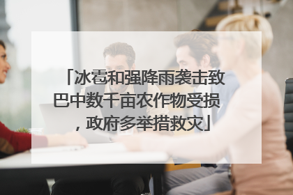 冰雹和强降雨袭击致巴中数千亩农作物受损，政府多举措救灾