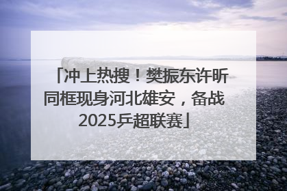 冲上热搜！樊振东许昕同框现身河北雄安，备战2025乒超联赛