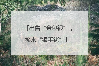 出售“金包银”，换来“银手铐”