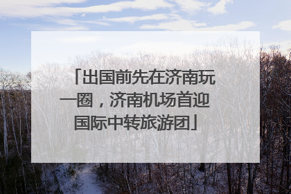 出国前先在济南玩一圈，济南机场首迎国际中转旅游团