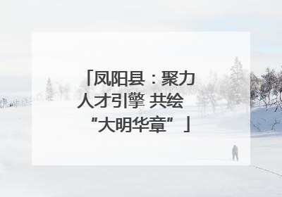 凤阳县:聚力人才引擎 共绘“大明华章”