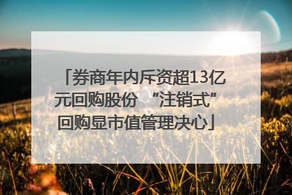 券商年内斥资超13亿元回购股份 “注销式”回购显市值管理决心