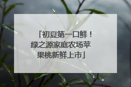 初夏第一口鲜！绿之源家庭农场苹果桃新鲜上市