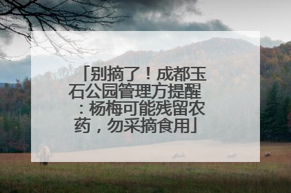 别摘了！成都玉石公园管理方提醒：杨梅可能残留农药，勿采摘食用
