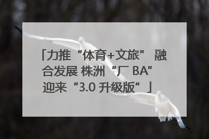 力推“体育+文旅” 融合发展 株洲“厂 BA”迎来“3.0 升级版”