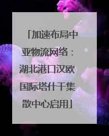 加速布局中亚物流网络：湖北港口汉欧国际塔什干集散中心启用
