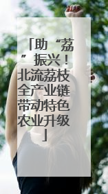助“荔”振兴！北流荔枝全产业链带动特色农业升级