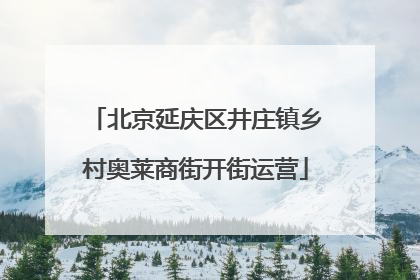 北京延庆区井庄镇乡村奥莱商街开街运营