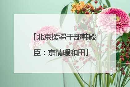 北京援疆干部韩殿臣：京情暖和田