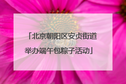 北京朝阳区安贞街道举办端午包粽子活动