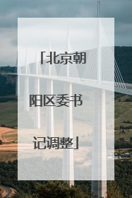 北京朝阳区委书记调整