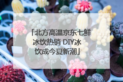 北方高温京东七鲜冰饮热销 DIY冰饮成今夏新潮