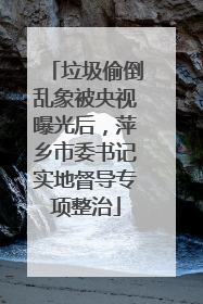 垃圾偷倒乱象被央视曝光后，萍乡市委书记实地督导专项整治