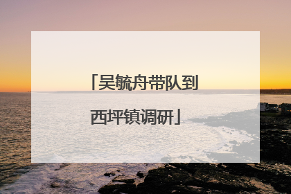 吴毓舟带队到西坪镇调研