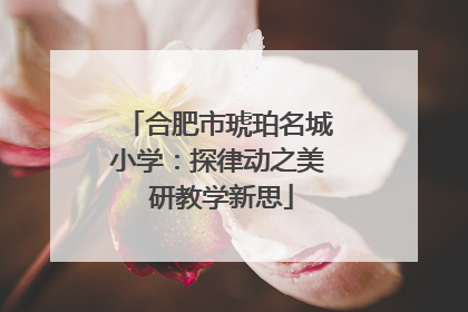 合肥市琥珀名城小学：探律动之美 研教学新思