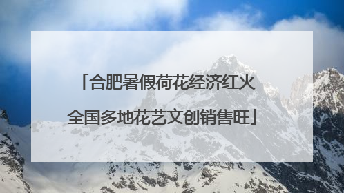 合肥暑假荷花经济红火 全国多地花艺文创销售旺