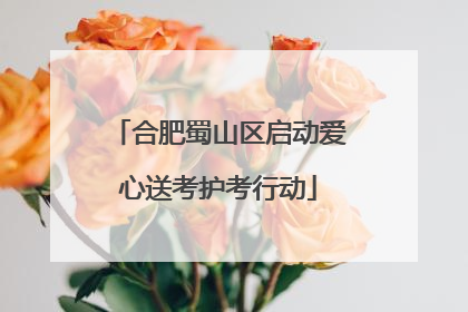 合肥蜀山区启动爱心送考护考行动