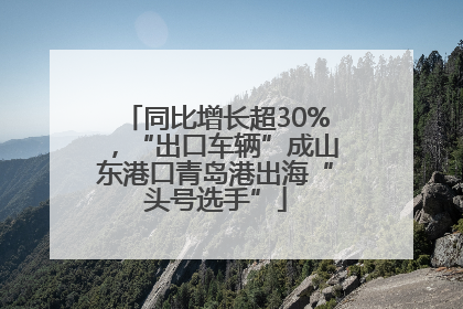 同比增长超30%，“出口车辆”成山东港口青岛港出海“头号选手”