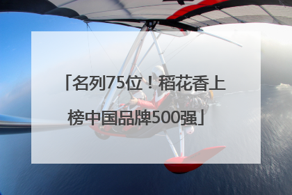 名列75位！稻花香上榜中国品牌500强