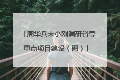 周华兵未小刚调研督导重点项目建设（图）