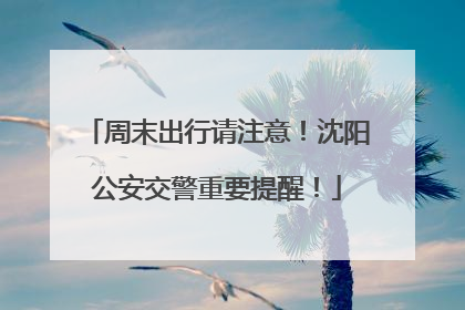 周末出行请注意！沈阳公安交警重要提醒！