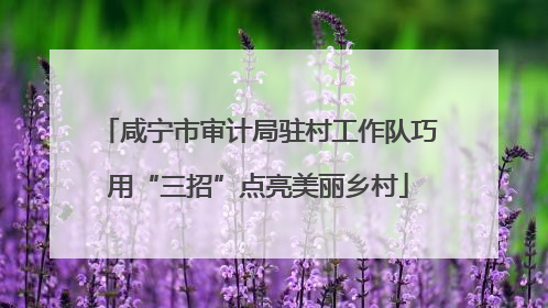 咸宁市审计局驻村工作队巧用“三招”点亮美丽乡村