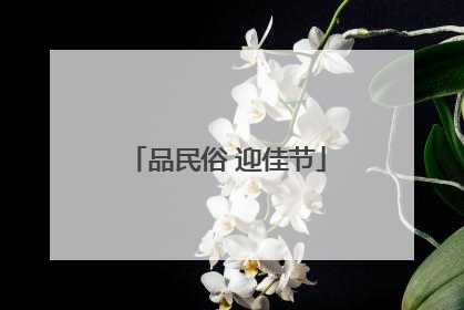 品民俗 迎佳节