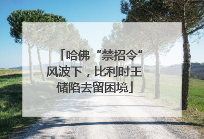哈佛“禁招令”风波下，比利时王储陷去留困境