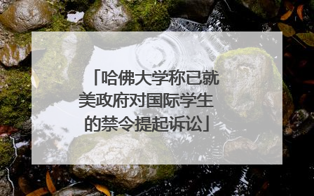 哈佛大学称已就美政府对国际学生的禁令提起诉讼