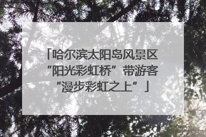哈尔滨太阳岛风景区“阳光彩虹桥”带游客“漫步彩虹之上”