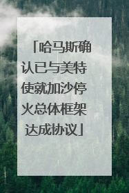 哈马斯确认已与美特使就加沙停火总体框架达成协议
