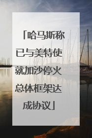哈马斯称已与美特使就加沙停火总体框架达成协议