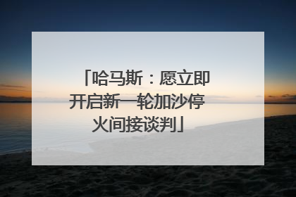 哈马斯：愿立即开启新一轮加沙停火间接谈判