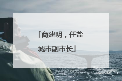 商建明，任盐城市副市长