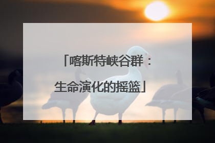 喀斯特峡谷群：生命演化的摇篮